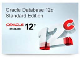 Базы данных Oracle 12с  Корпоративный Выпуск